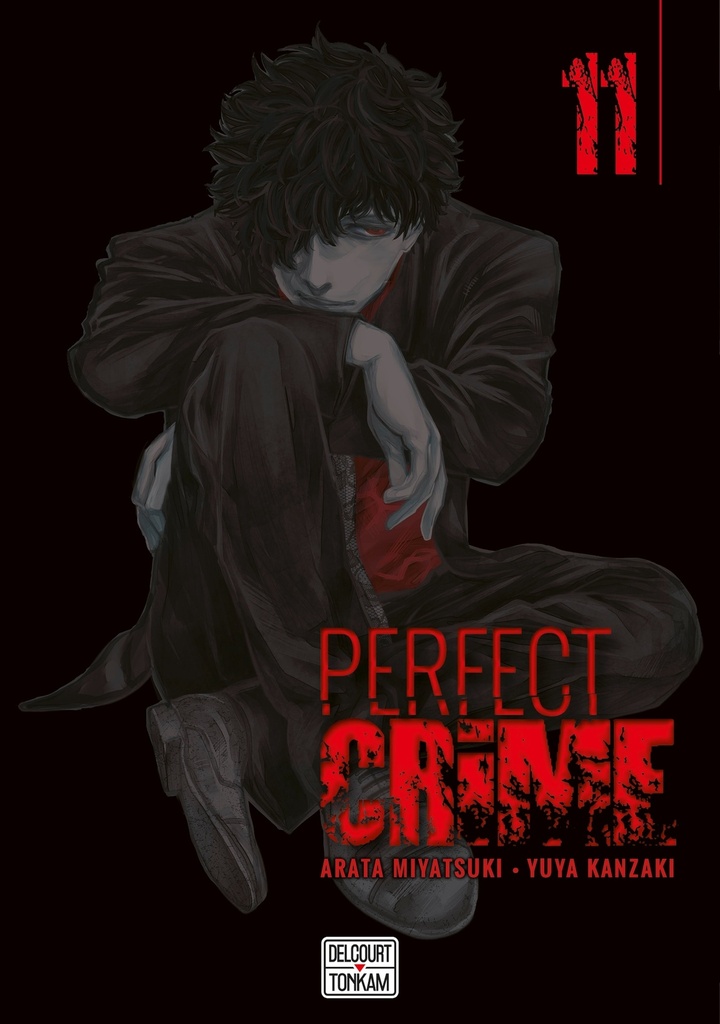 [9782413041818] Perfect crime T11