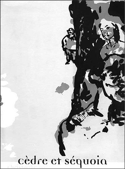 Cèdre et séquoia