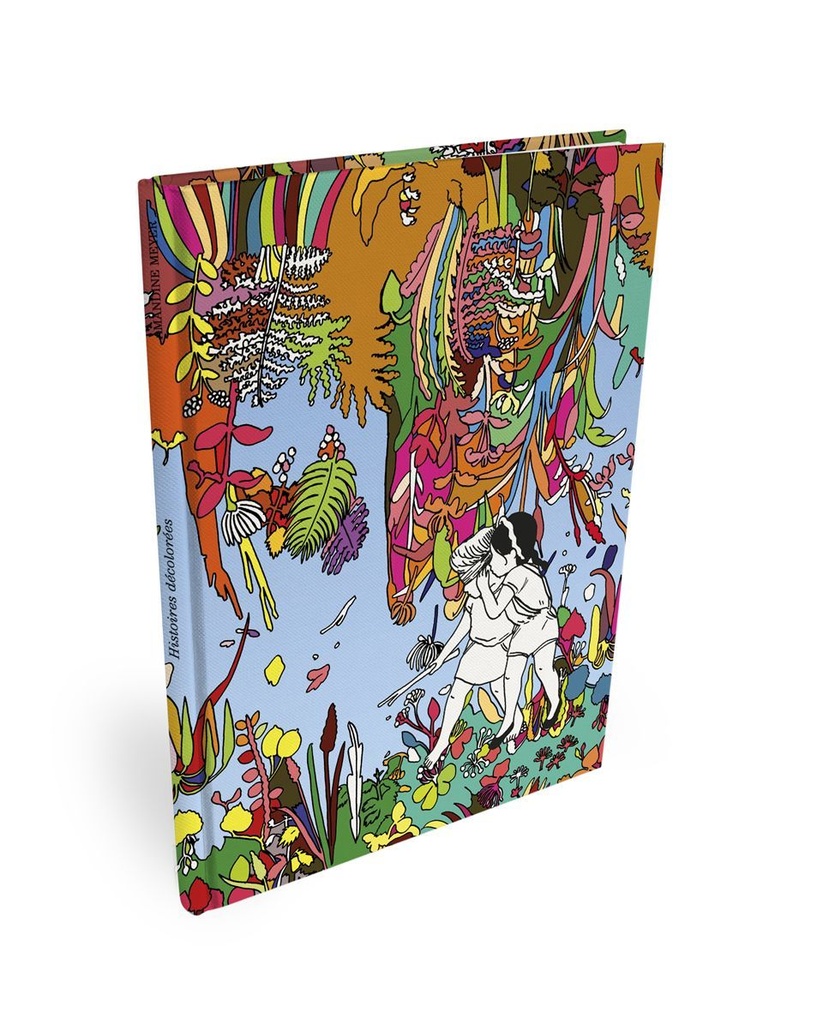 [9782916254470] Histoire décolorée